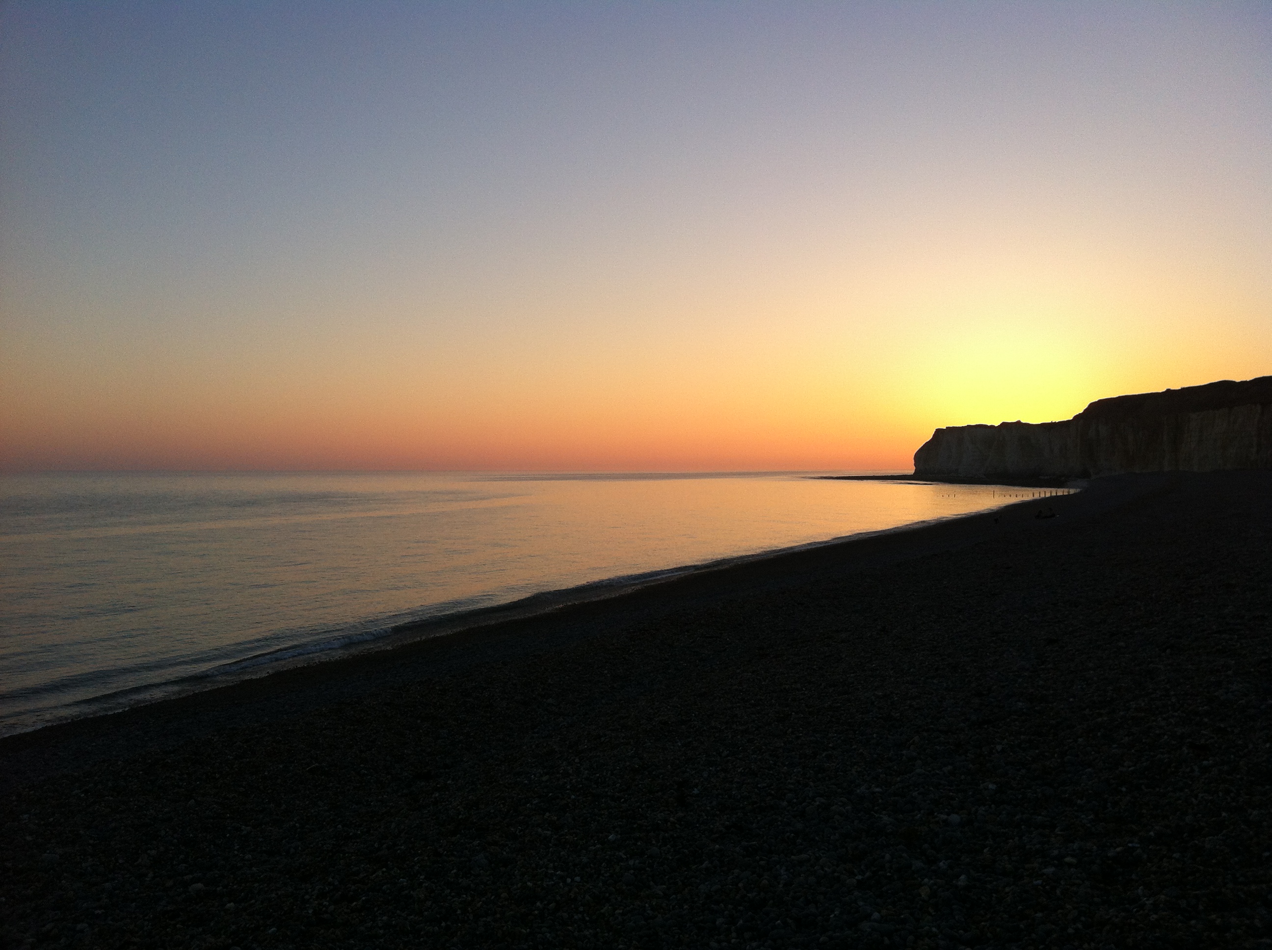 coffee and-coffee-beans